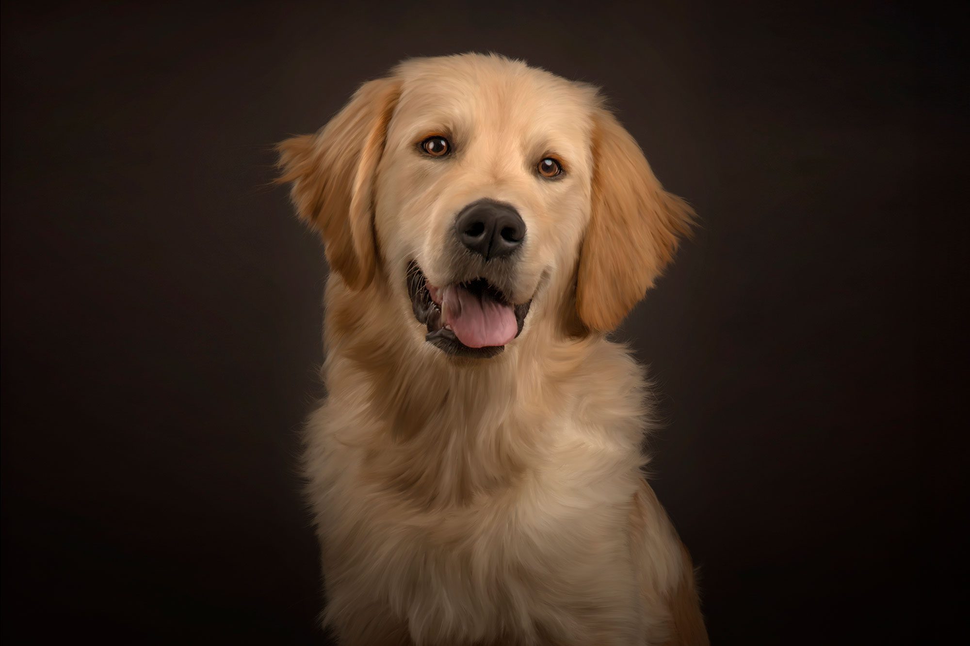 Painted golden retriever dog